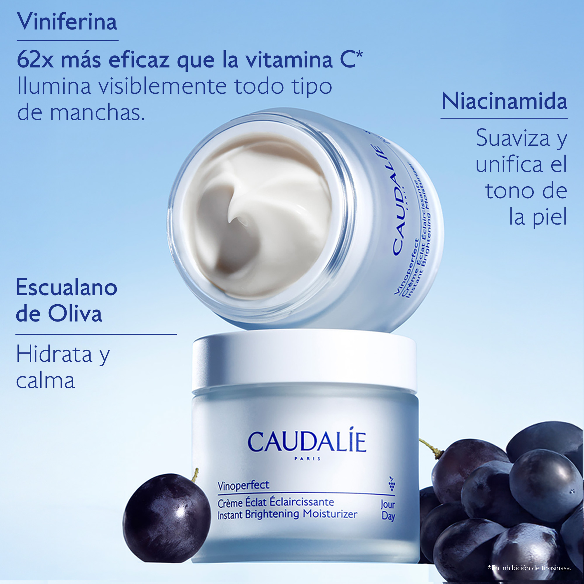 VINOPERFECT DARK SPOT MOISTURIZER (VINOPERFECT HIDRATANTE CON NIACINAMIDA ANTI MANCHAS)